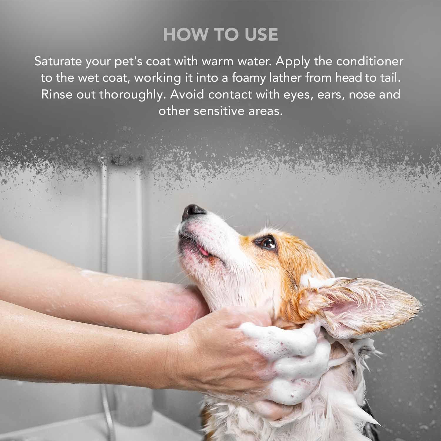 Thumbnail 4 de Wahl Easy Groom Animal Conditioner 500ml — 64:1 Concentrate with Vitamin E