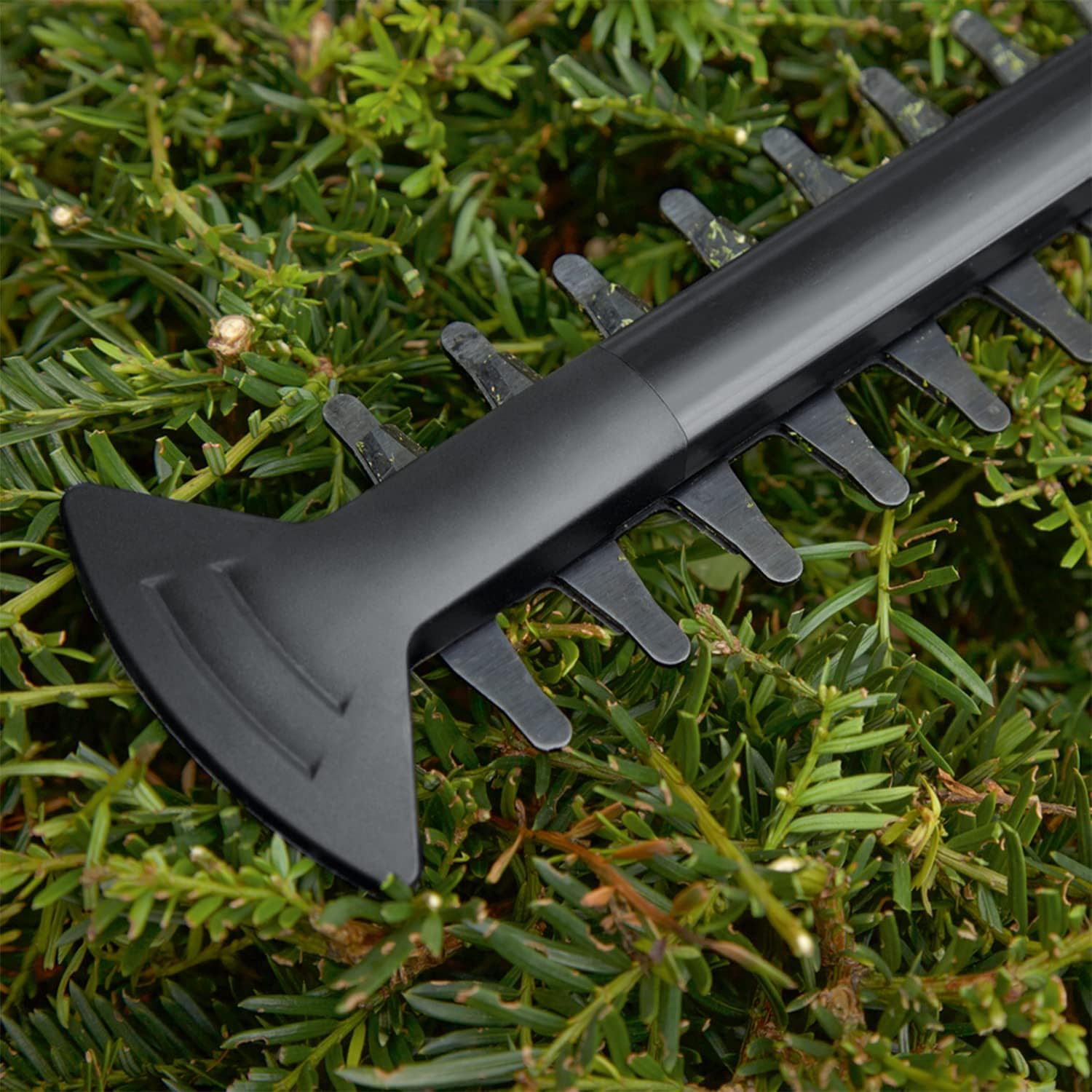 Thumbnail 5 de Bosch EasyHedgeCut 18V-52-13 sans batterie – Taille-haies sans fil pour petites haies
