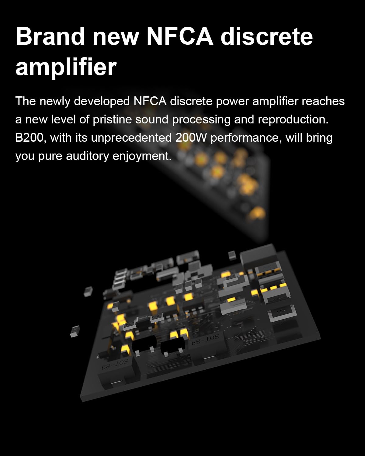 Detalle de Topping B200 Mono Pure Power Audio Amplifier (200W output) with balanced XLR/TRS inputs and 12V trigger