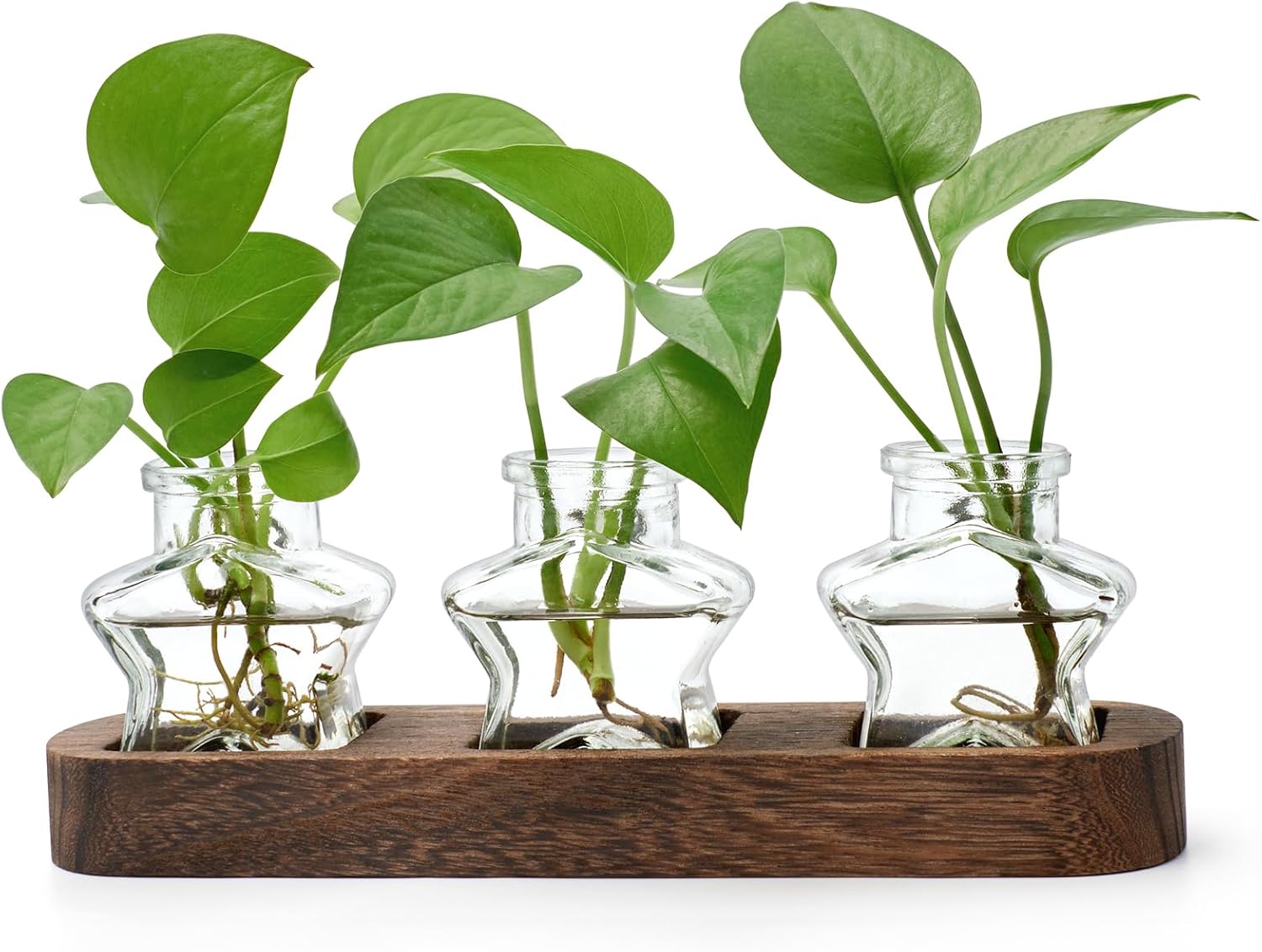 Thumbnail 6 de XXXFLOWER Wall Hanging Plant Propagation Station with Wooden Stand (3 Bulb Vase, 2 Tiers)