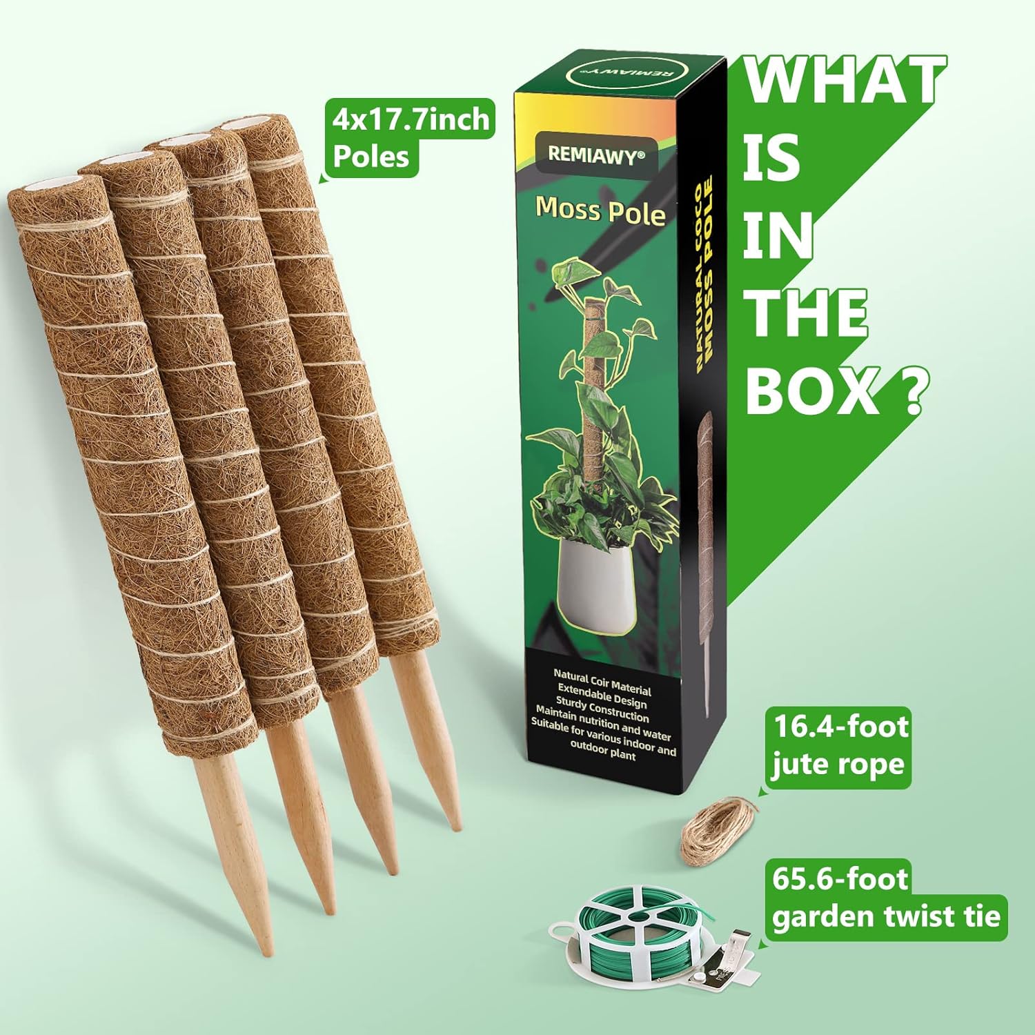 Detalle de Moss Pole 56 Inch 142cm | 4 Pack Coir Moss Poles for Monstera & Climbing Houseplants