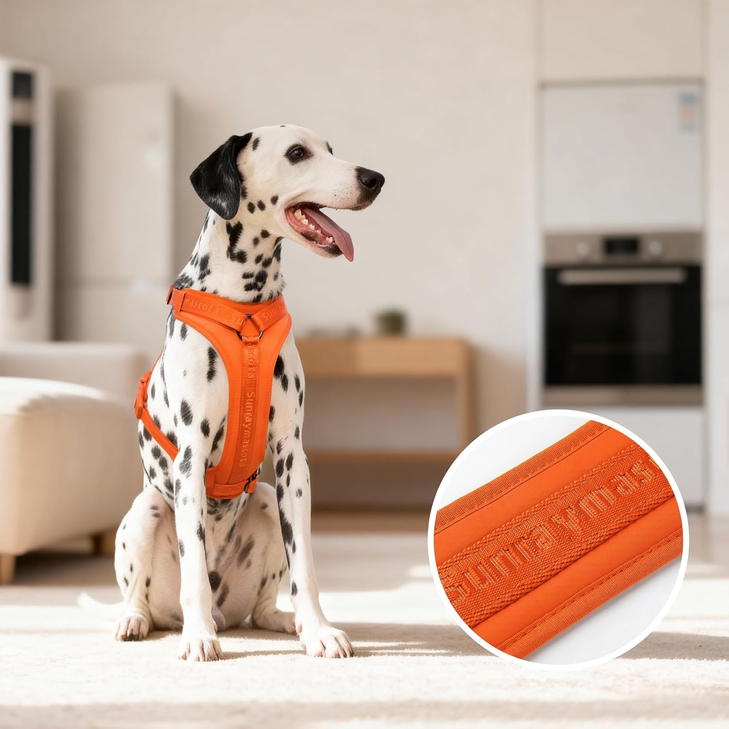 Detalle de Sunraymascota Pettorina per cani con imbottitura in lycra – traspirante, regolabile e sicura