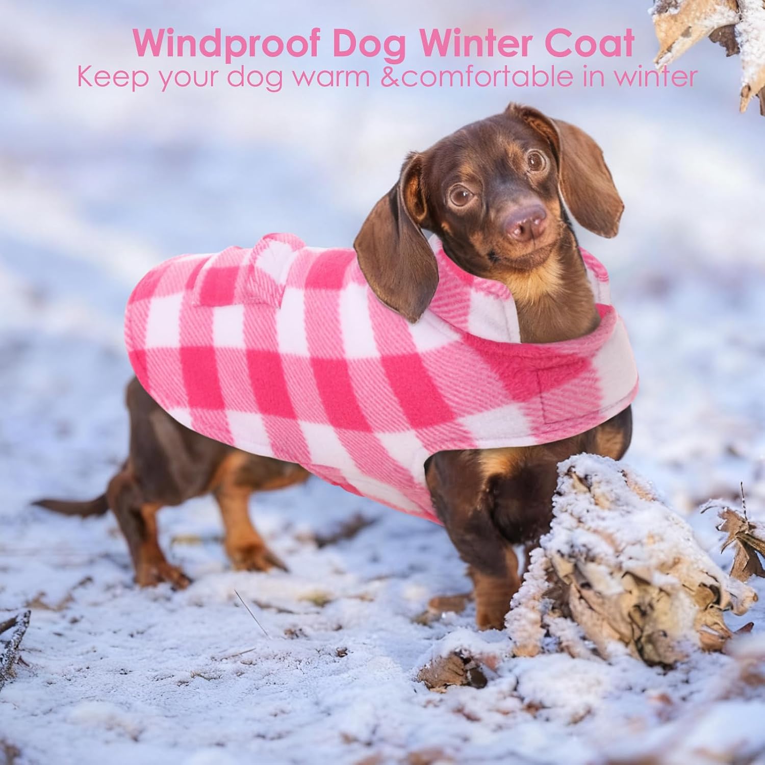 Detalle 2 de AOFITEE Dog Coat Size S
