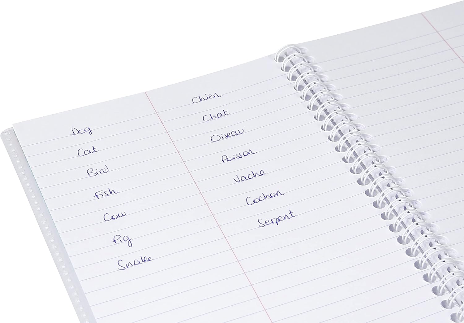 Detalle 2 de Clairefontaine 141820C Koverbook cuaderno vocabulario