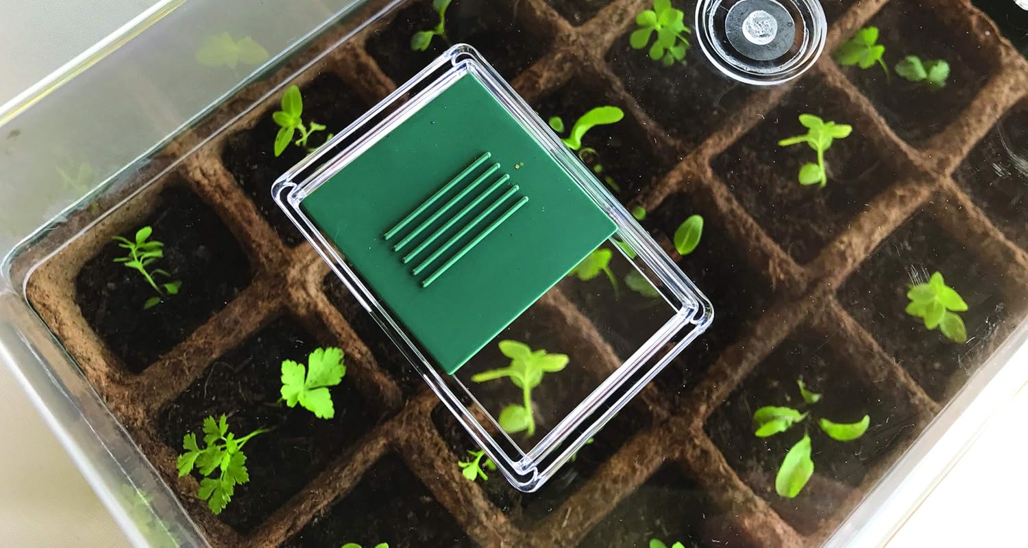 Detalle de Boîte à germer Biotop B2015B vert 38 cm