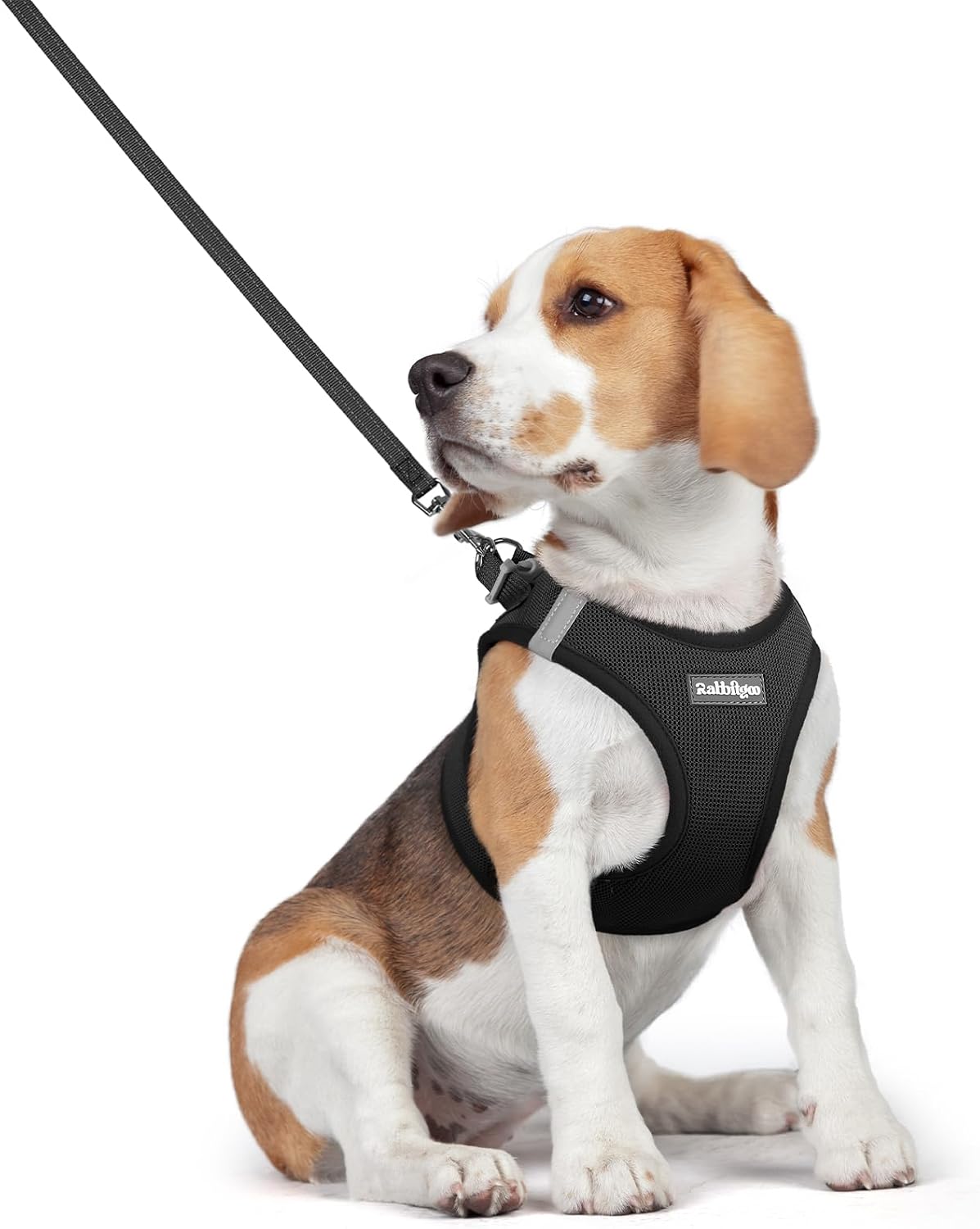 Detalle de rabbitgoo Small Dog Harness and Leash Set – Step-in, Breathable Mesh Vest with Reflective Strips