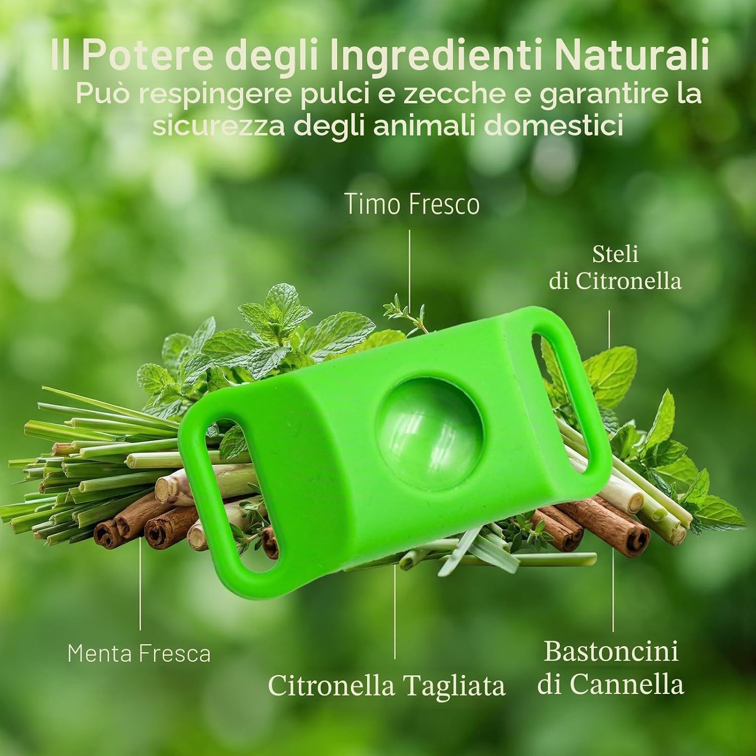 Thumbnail 6 de Collare Antipulci Cane impermeabile e naturale: protezione multi-strato, 55 cm adjustable