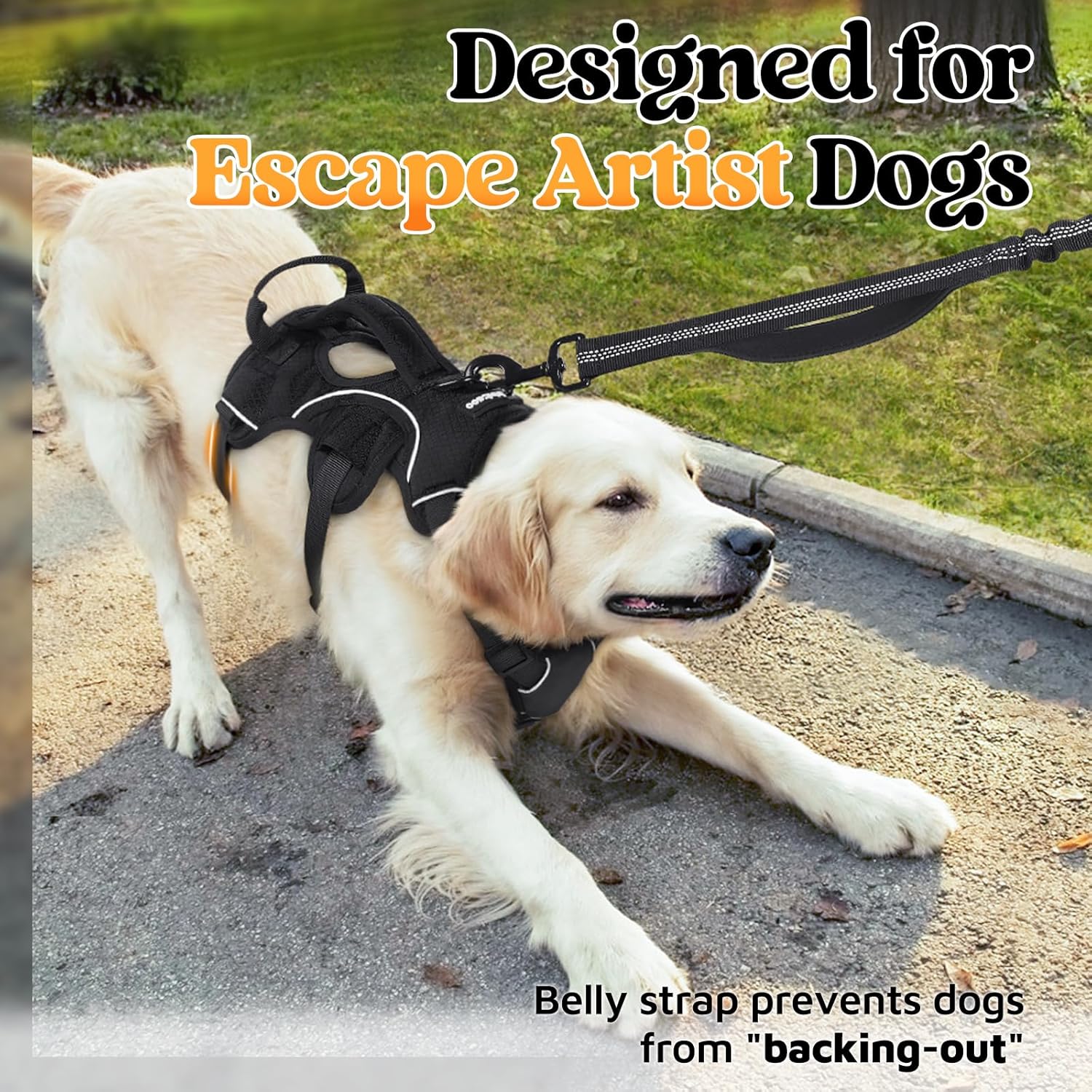 Detalle de rabbitgoo dog harness with escape-proof fit