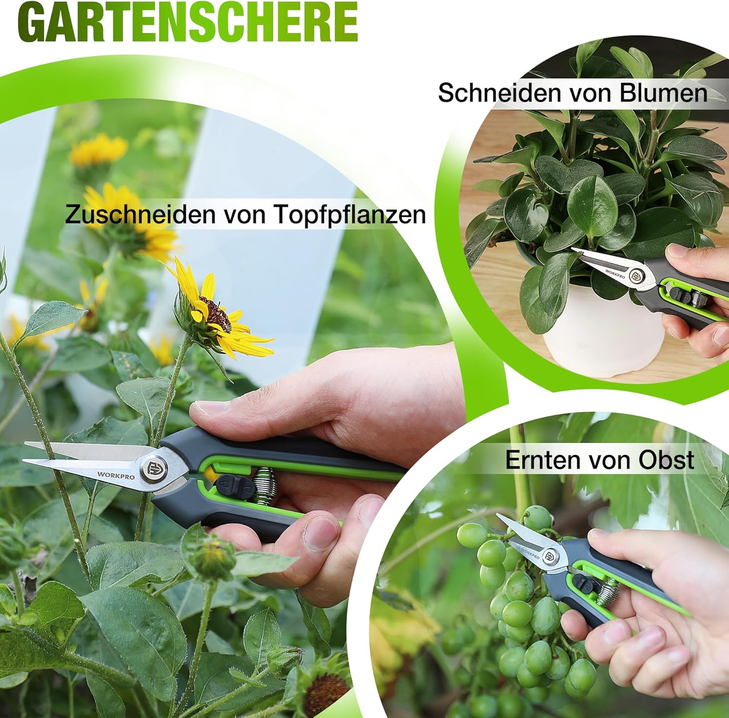 Thumbnail 6 de WORKPRO Gartenschere Set 2-tlg. – Bypass-Astschere 210 mm und Ernteschere 160 mm für Gartenarbeit