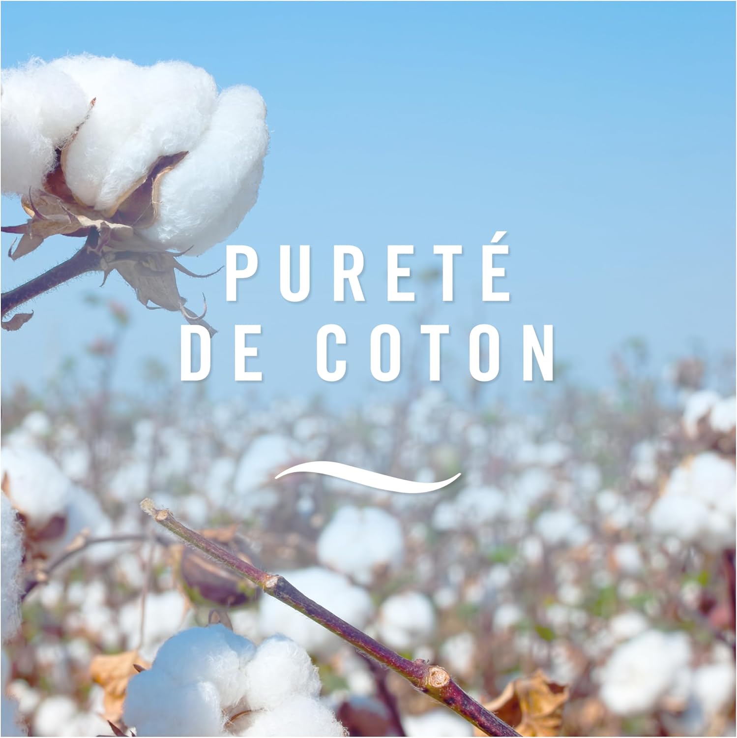 Thumbnail 5 de Febreze désodorisant voiture Purété de Coton (2 ml x6) – diffuseurs sans électricité