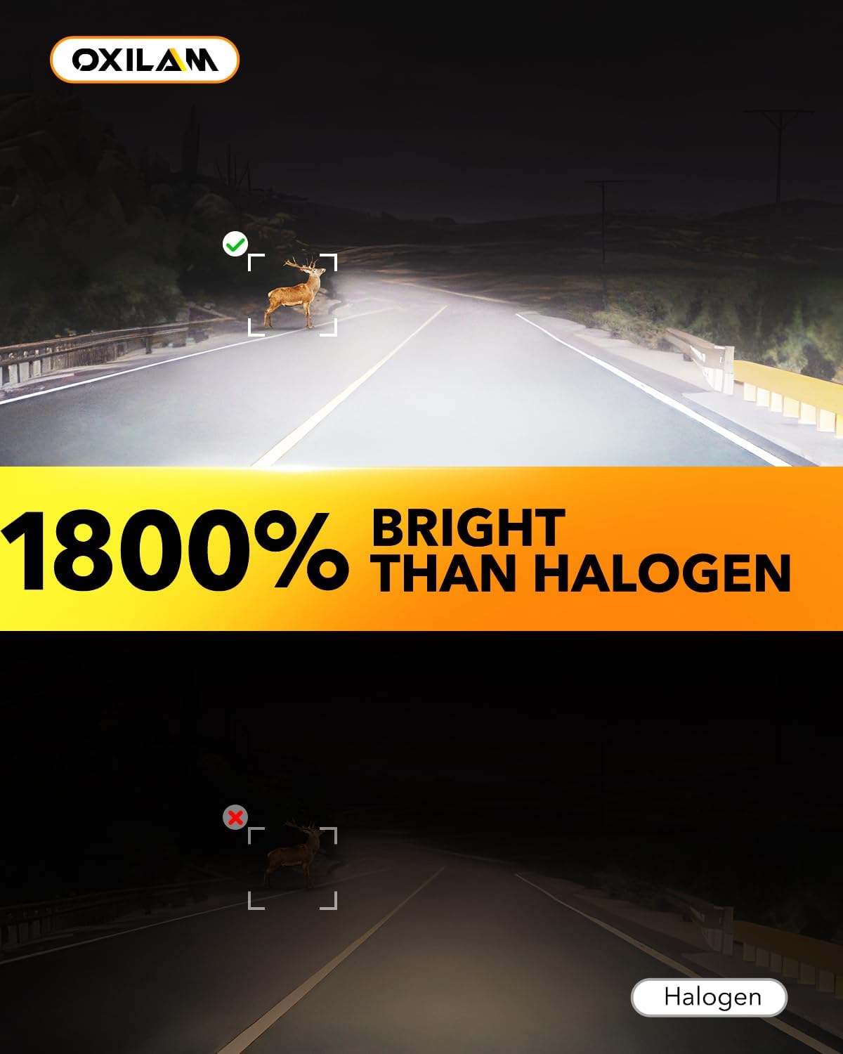Detalle de OXILAM H11 9005 Halogen Replacement Bulbs 4-pack