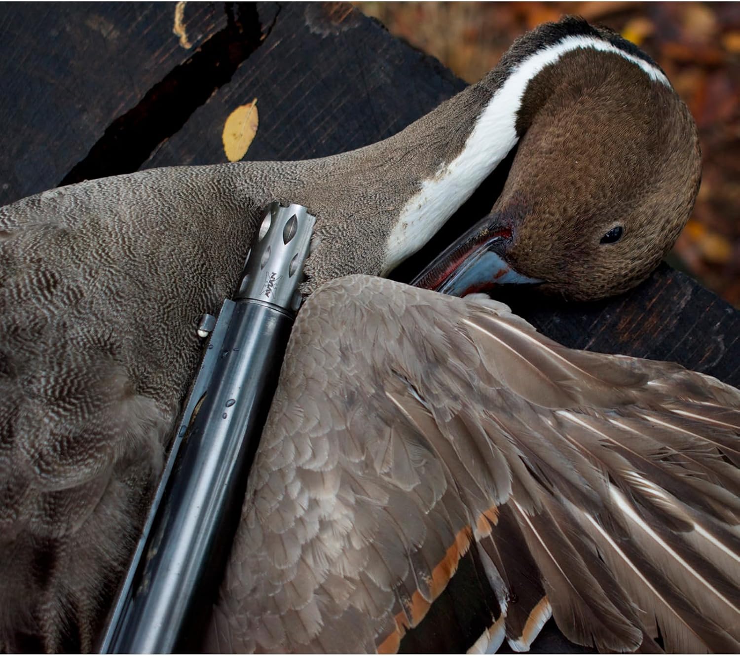 Thumbnail 4 de Avian-X AVX-WFL-HM03 Waterfowl Crusher Choke Tube, Heavy MOD, 12G INVPLUS