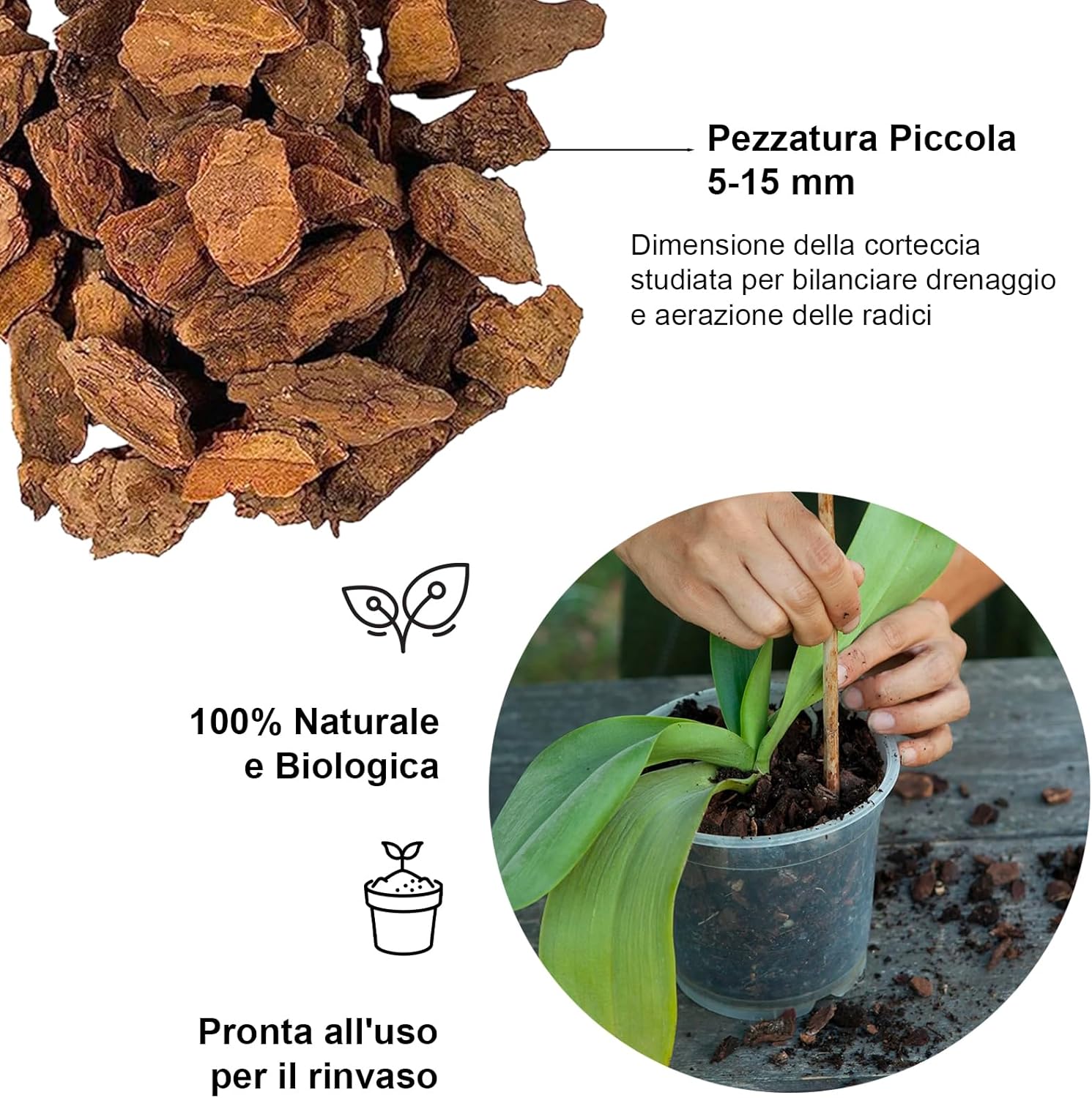 Thumbnail 1 de Kalapanta Bark Per Orchidee Linea Professionale, 2 Litri – Substrato in Corteccia di Pino Marittimo 100% Naturale