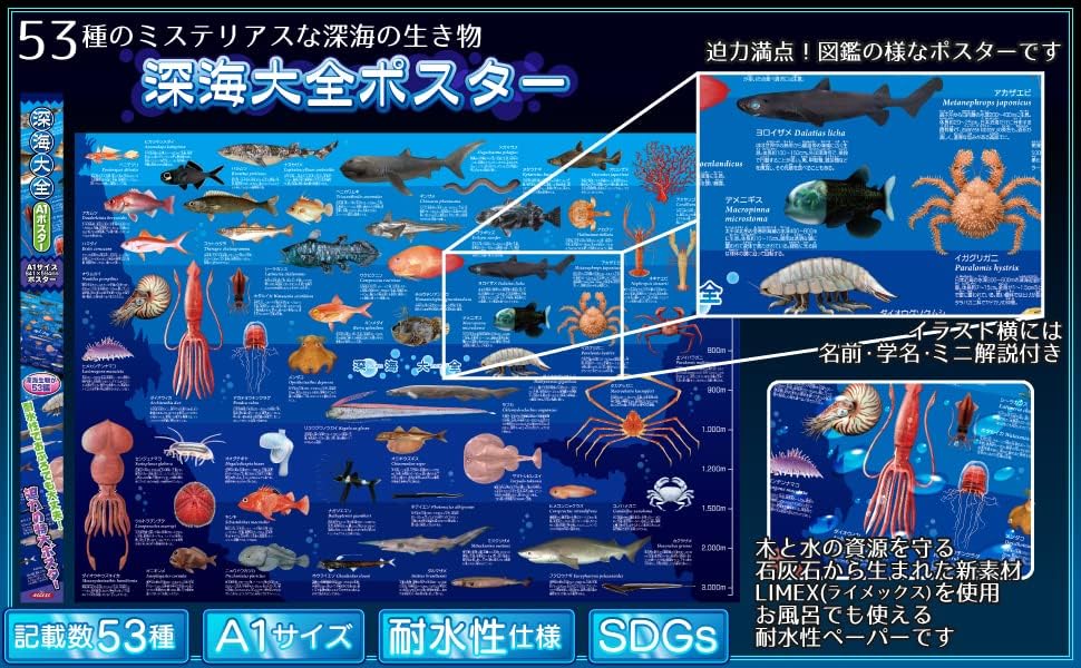 Detalle de ザ・アクセス 深海大全ポスター A1耐水仕様、深海生物53種の図鑑風イラスト