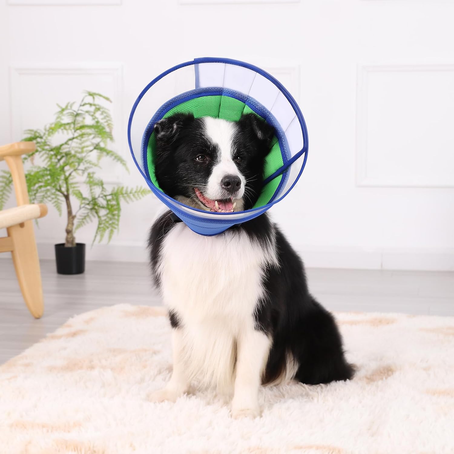 Detalle 2 de Soft Dog Cone Collar for After Surgery - Adjustable E-Collar Recovery for Pets (Blue, Size 6)