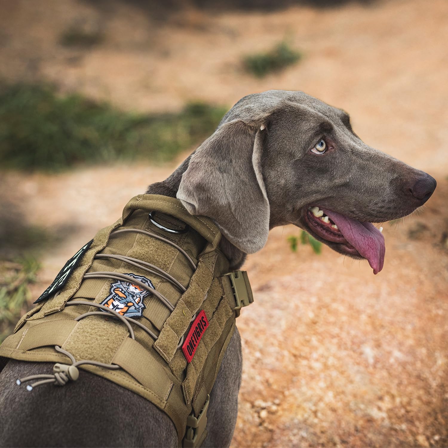 Thumbnail 6 de OneTigris Fire Watcher – Harnais tactique pour chien taille L, cordage nylon 1000D et poignée