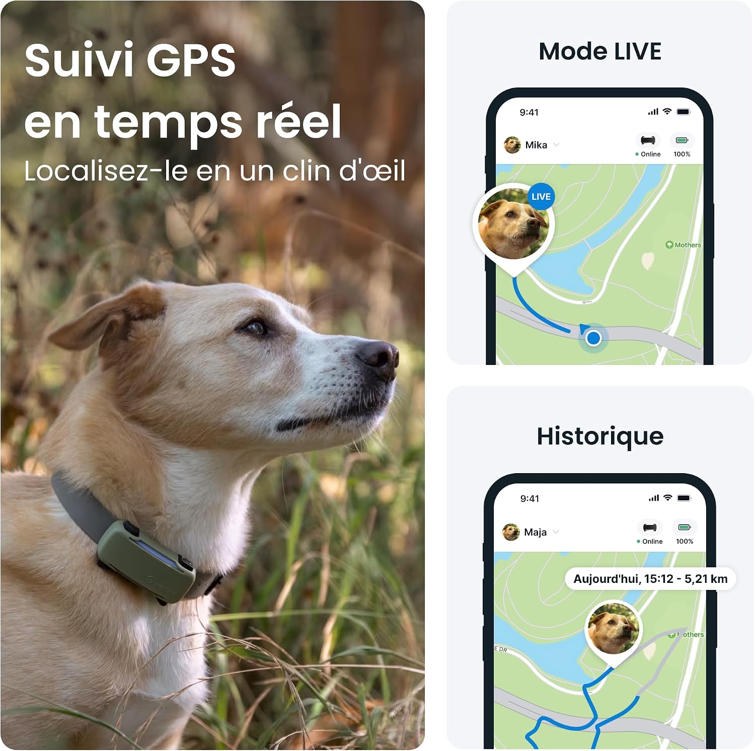 Detalle 2 de Tractive Collier GPS Chien Connecté 14 jours