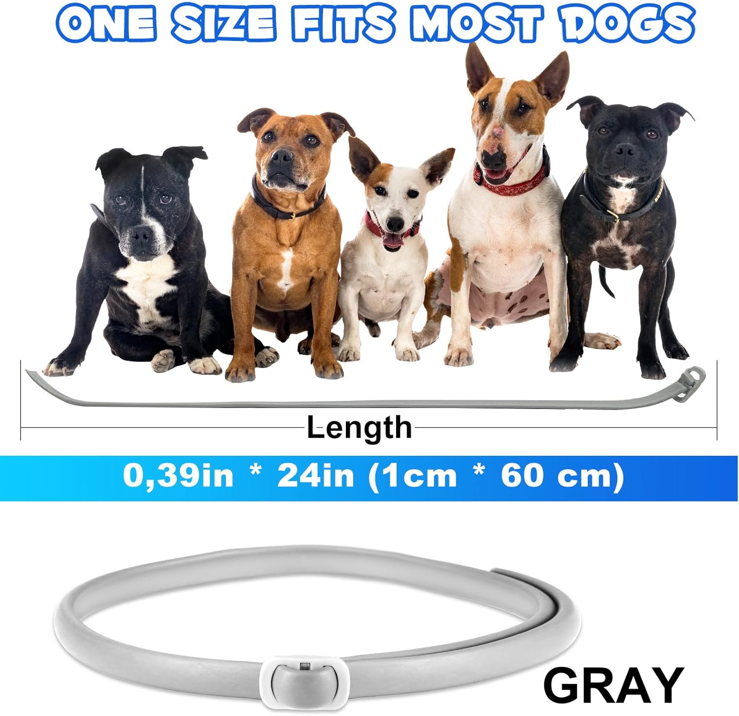 Thumbnail 5 de Dog Collar 4-Pack (Collars for Dogs) – 60cm, suitable from 7+ weeks