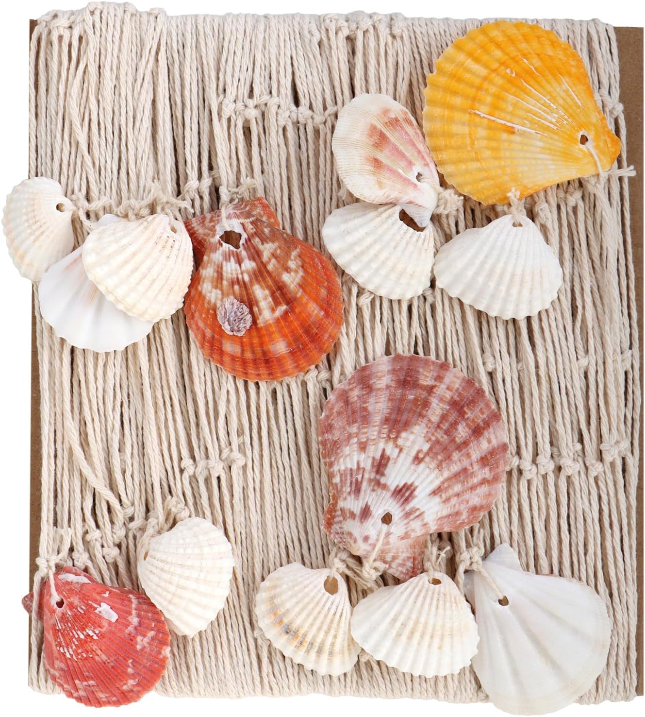 Detalle de Ensemble de décoration maritime COM-FOUR® : filet de pêche avec coquillages et maille photo
