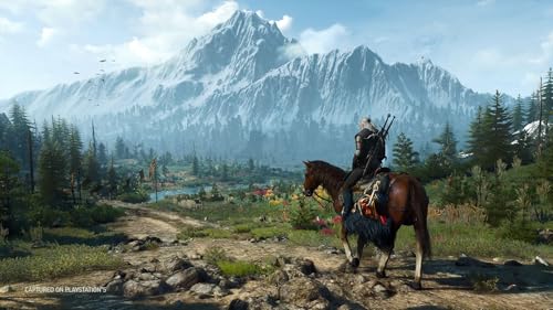 Detalle de The Witcher 3: Complete Edition – PlayStation 5 (Bandai Namco)