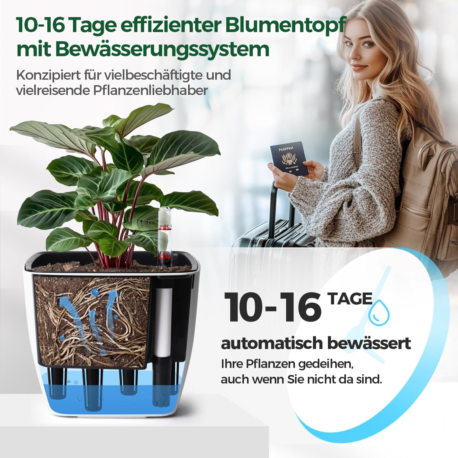 Detalle 2 de T4U Eckige Selbstbewässerungstöpfe 17,5 cm