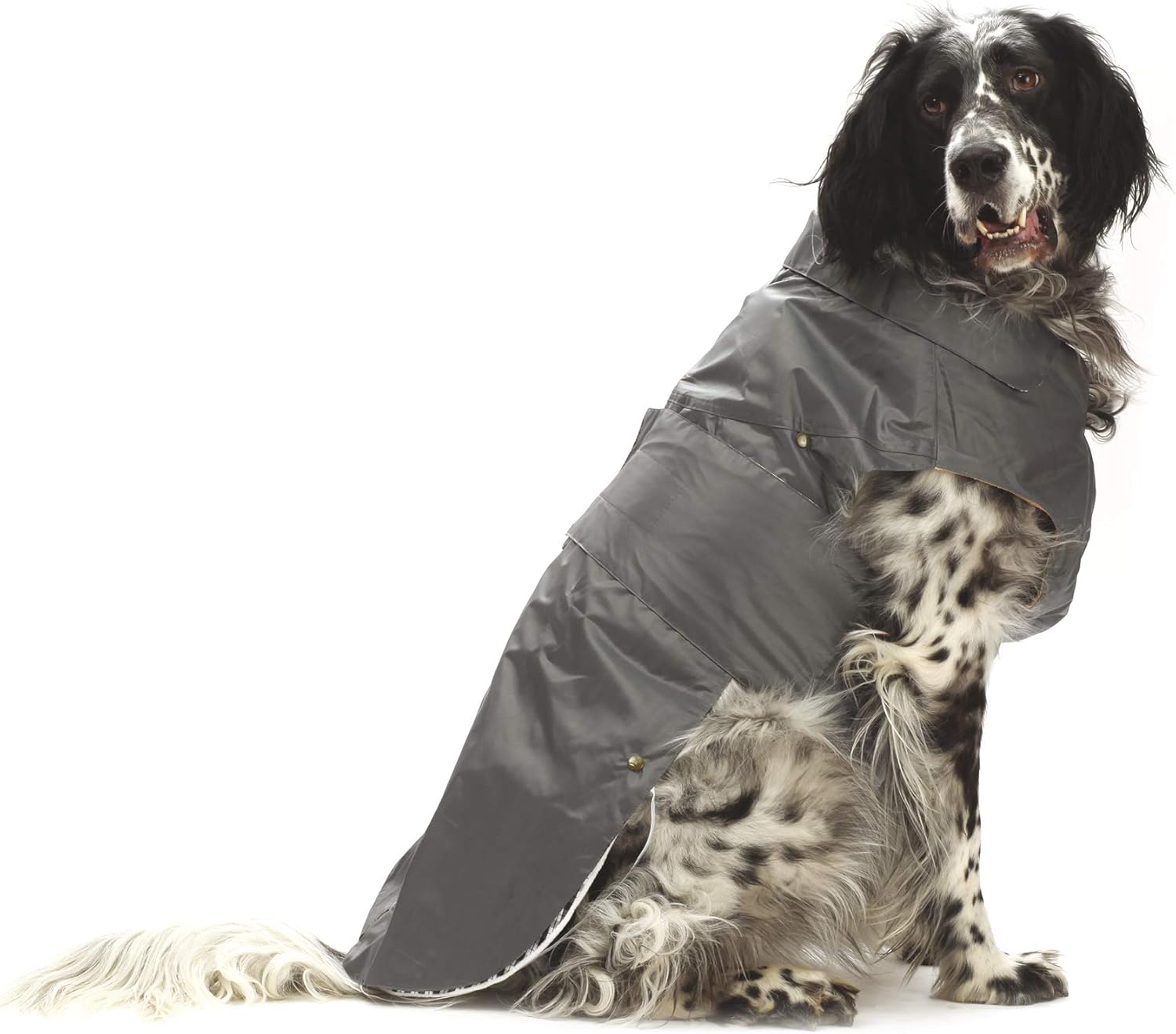 Detalle 2 de Croci Montreal wasserdichter Hundemantel Wintermantel mit Leinenloch, Größe 45 cm, braun