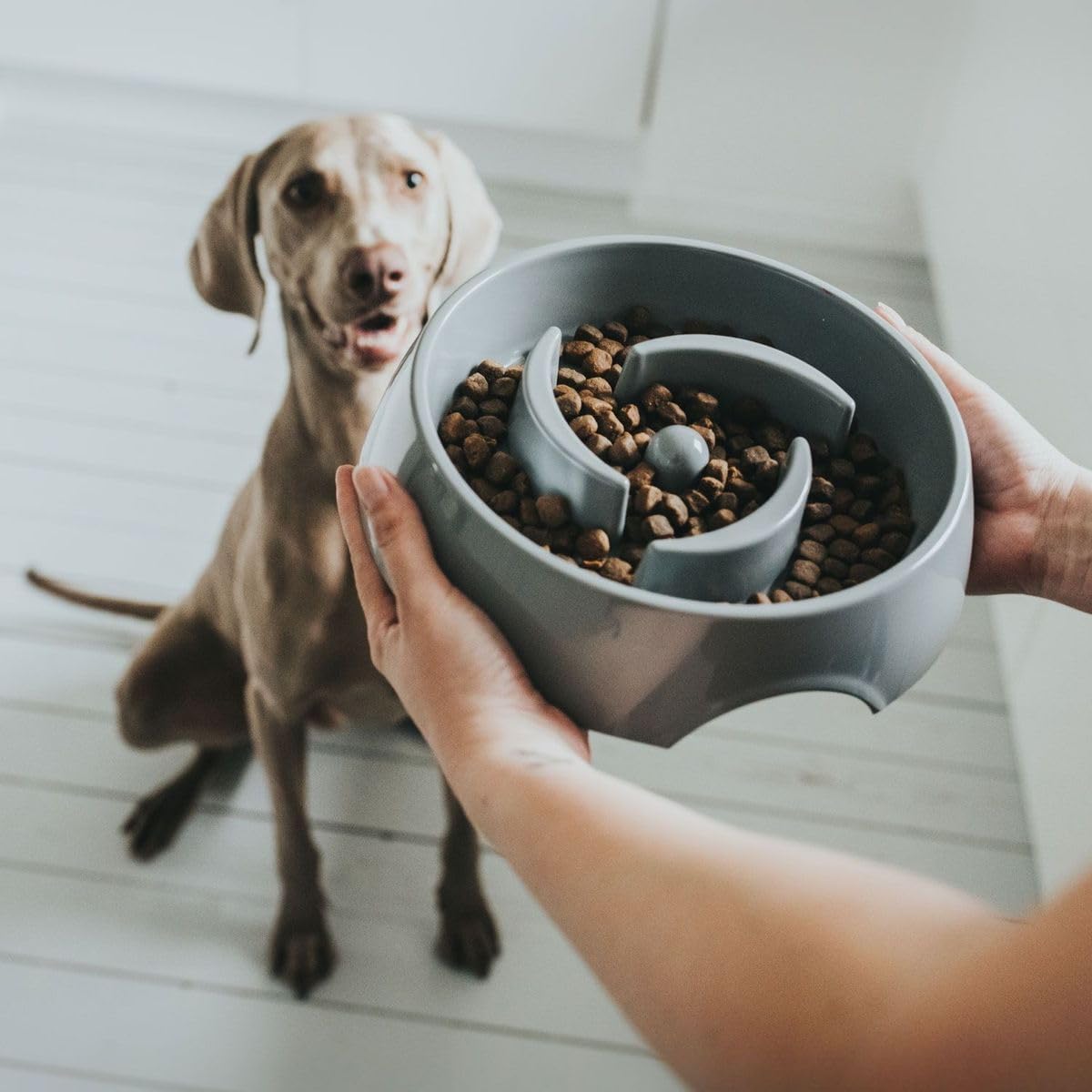 Detalle de HUNTER ATLANTA Anti-Schlingnapf 900 ml – Futternapf gegen schnelles Fressen für Hunde und Katzen