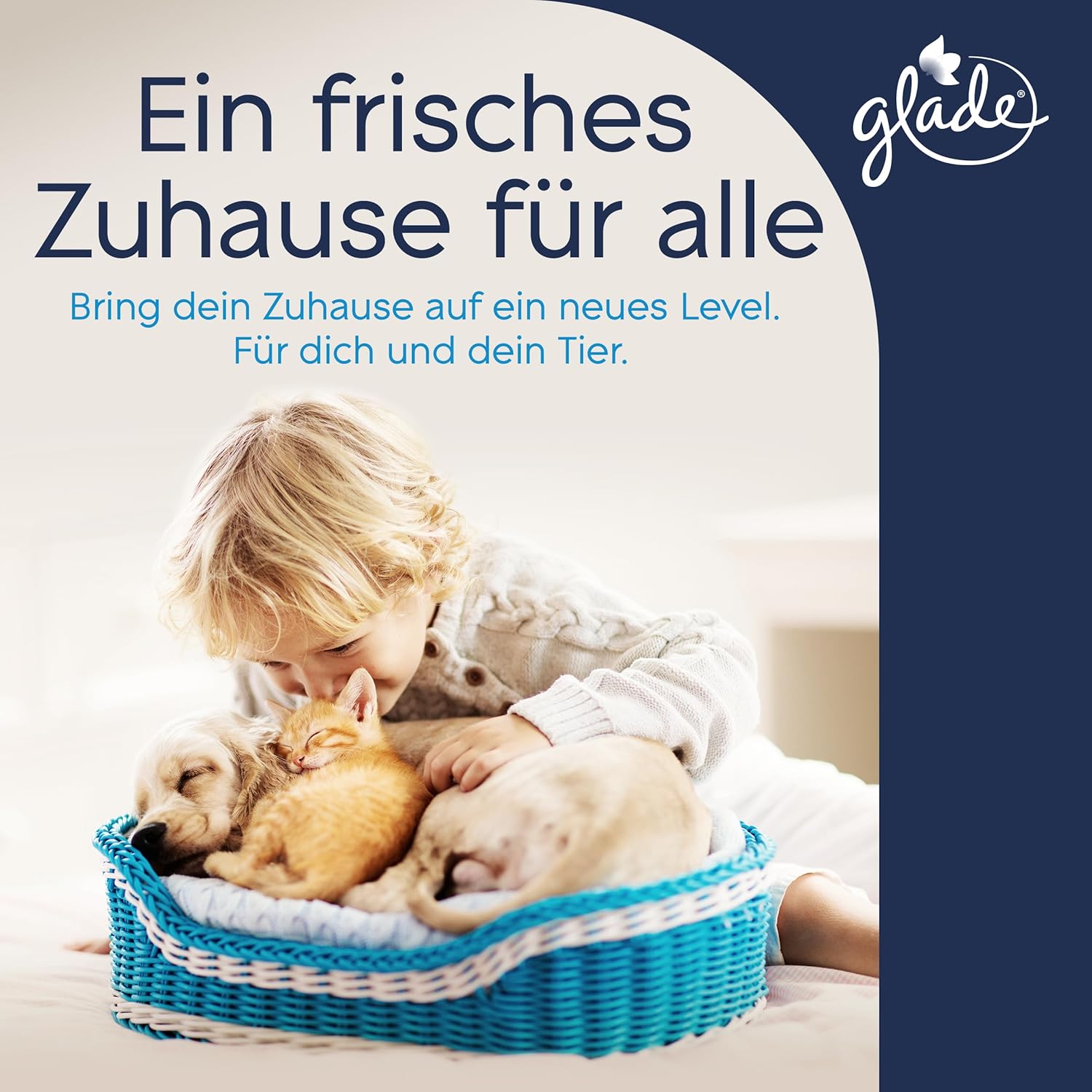 Thumbnail 2 de Glade Electric Scented Oil Nachfüller – 3 × 20 ml, Refreshing Air