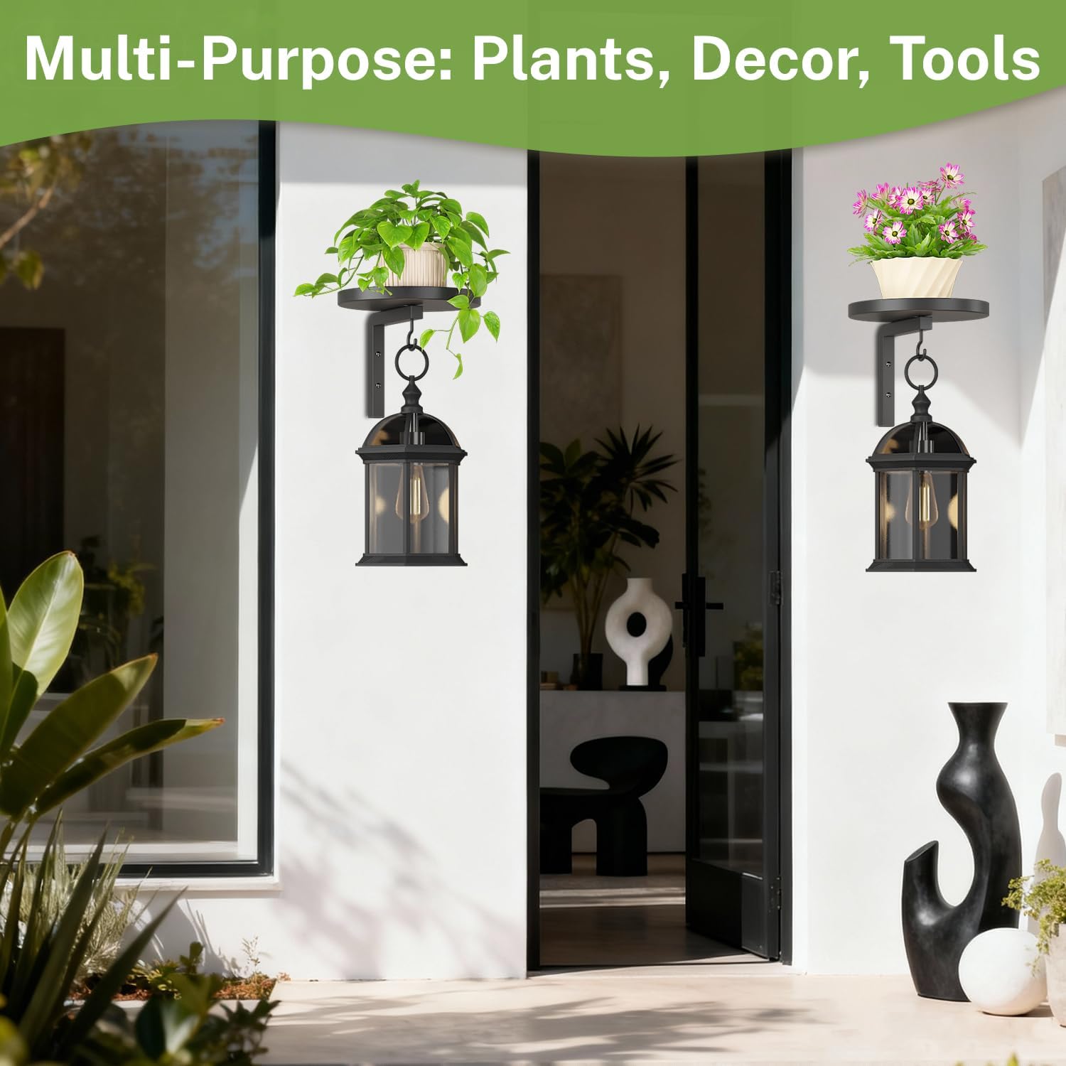 Detalle de iDavosic.ly Plant Wall Hanger Set of 2, Black Powder-Coated Metal with Hooks