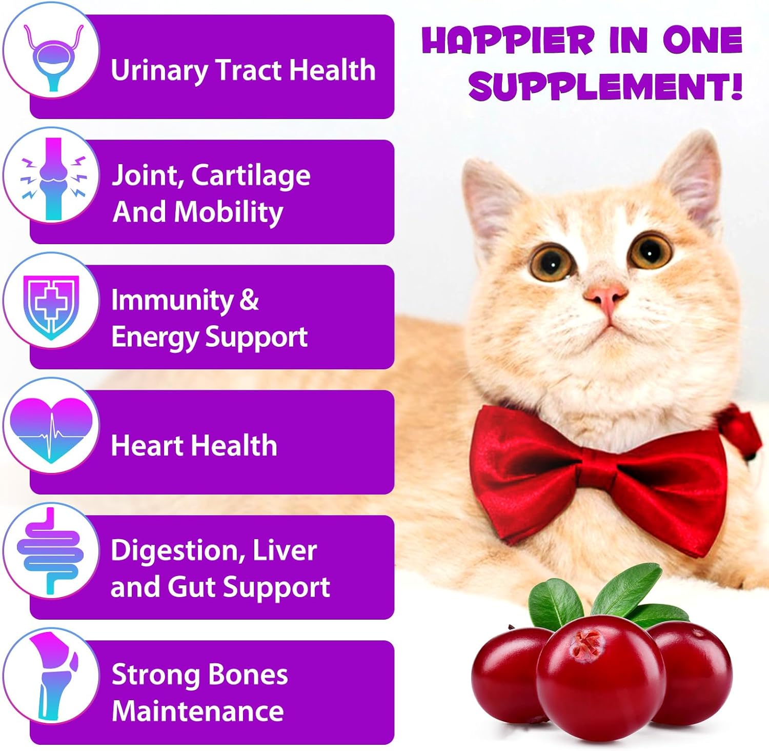 Detalle de Katzen Multivitamin 15‑in‑1 Flüssigvitamin