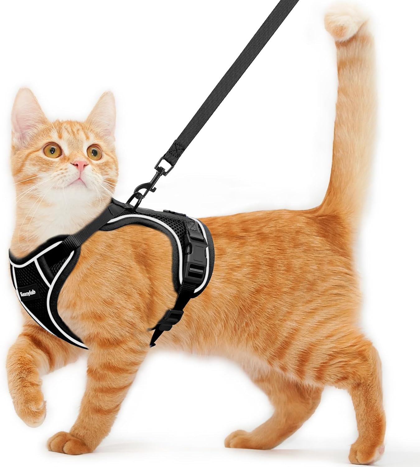 Detalle de Cat Harness and Leash S breathable adjustable vest 🐾