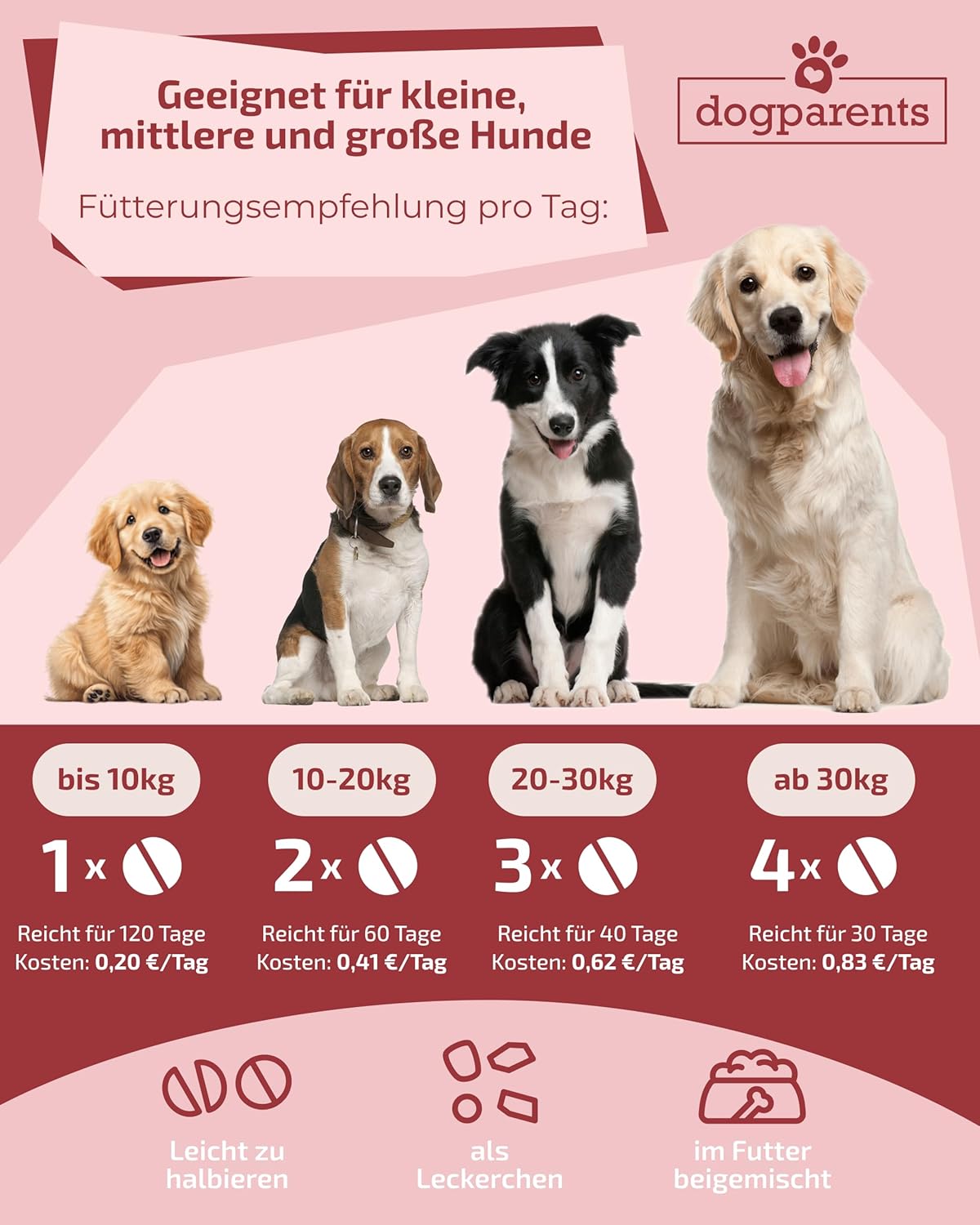 Thumbnail 4 de DOGPARENTS Prä & Probiotika Hund 670 Mrd. KBE