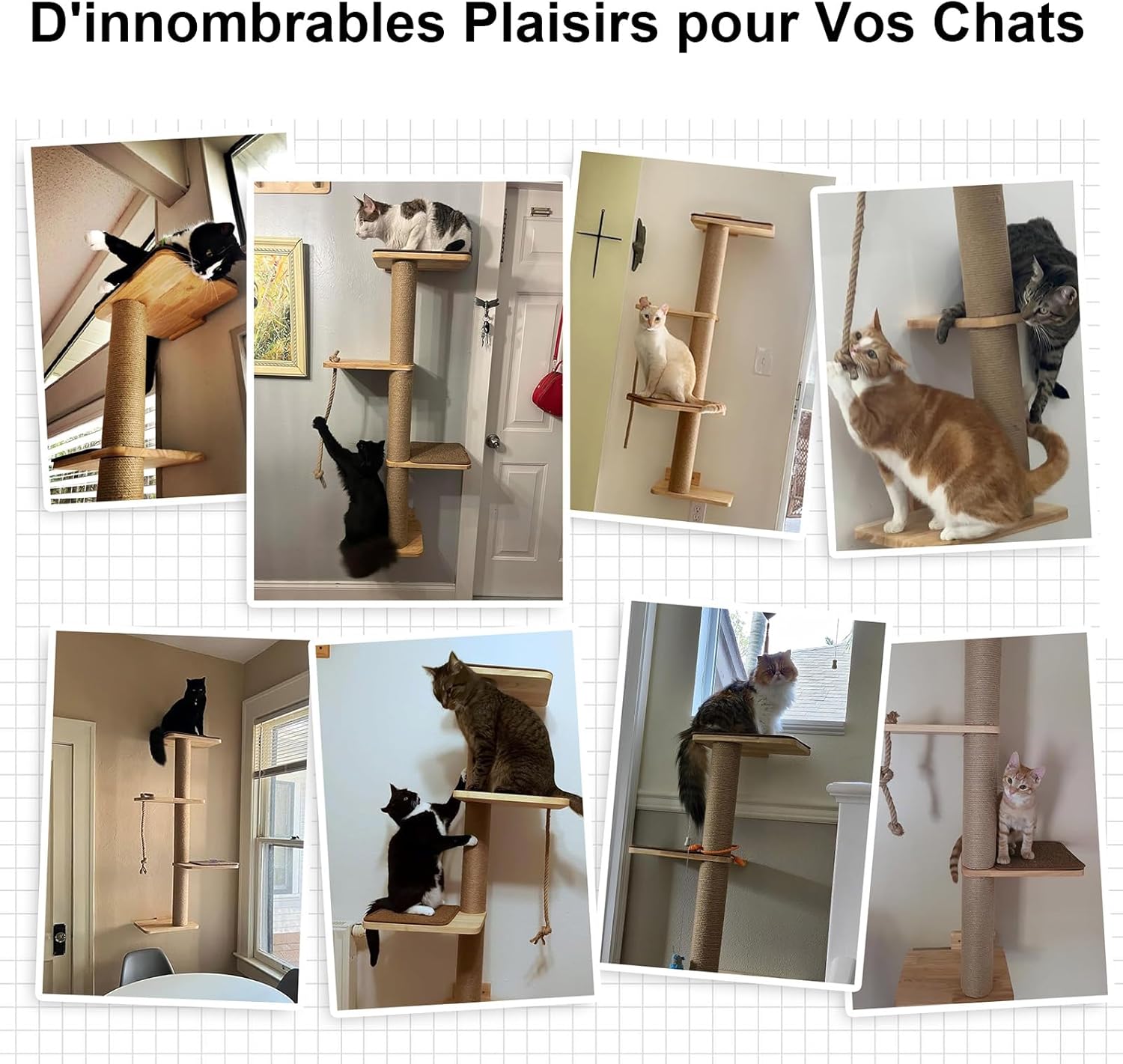 Thumbnail 6 de FUKUMARU Arbre à chat mural 127 cm 🐱