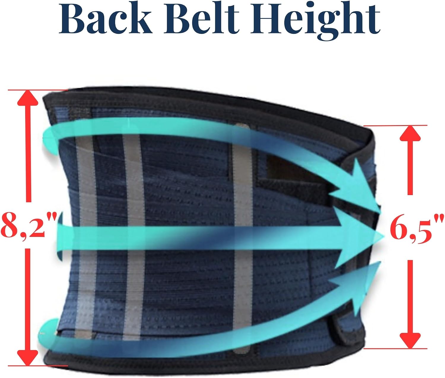 Thumbnail 6 de AVESTON Back Support Lower Back Brace for Pain Relief (Large)