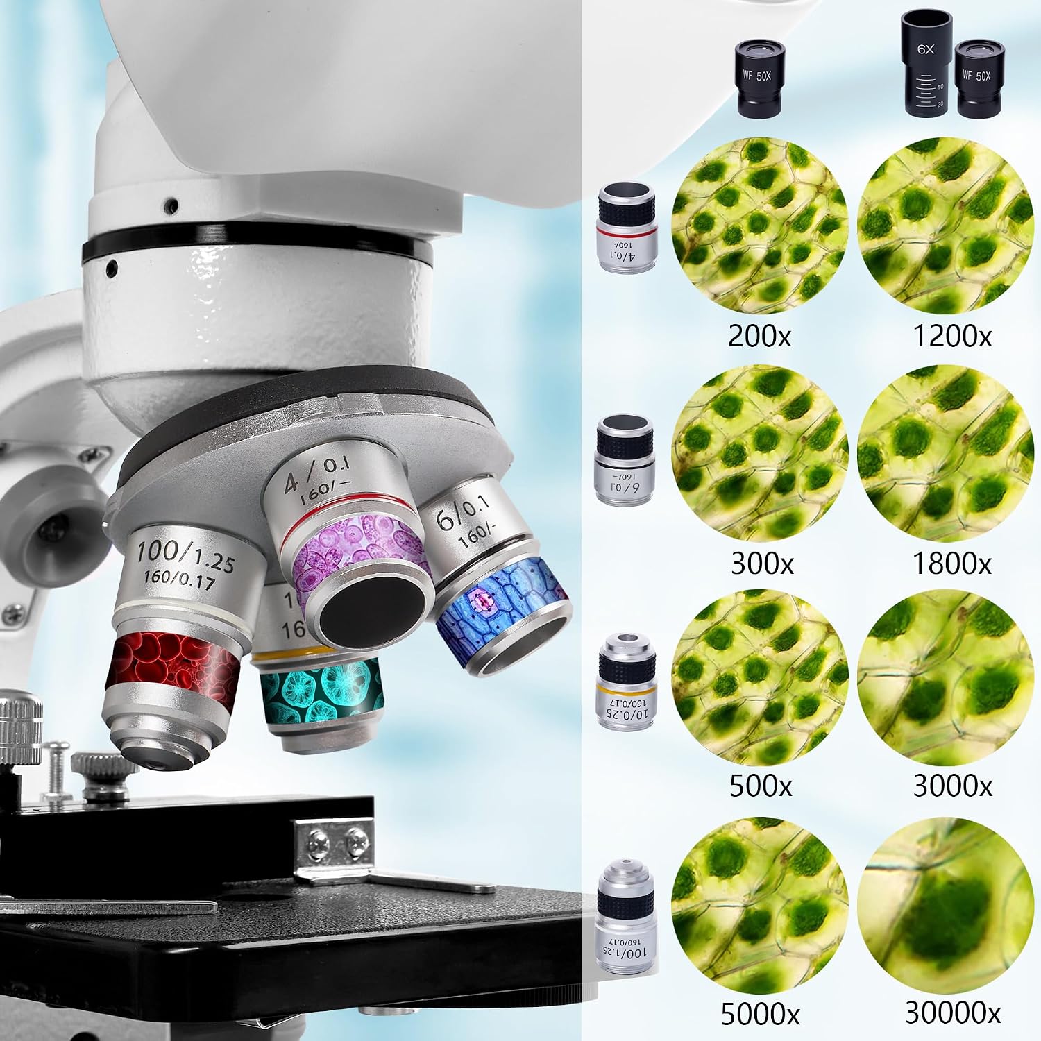 Detalle de Trinocular Microscope 200X–5000X for Lab Teaching
