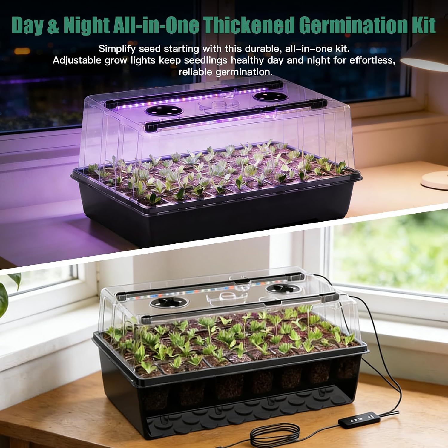 Thumbnail 6 de ROCKY&CHAO grow light seed tray kit, 60-cell