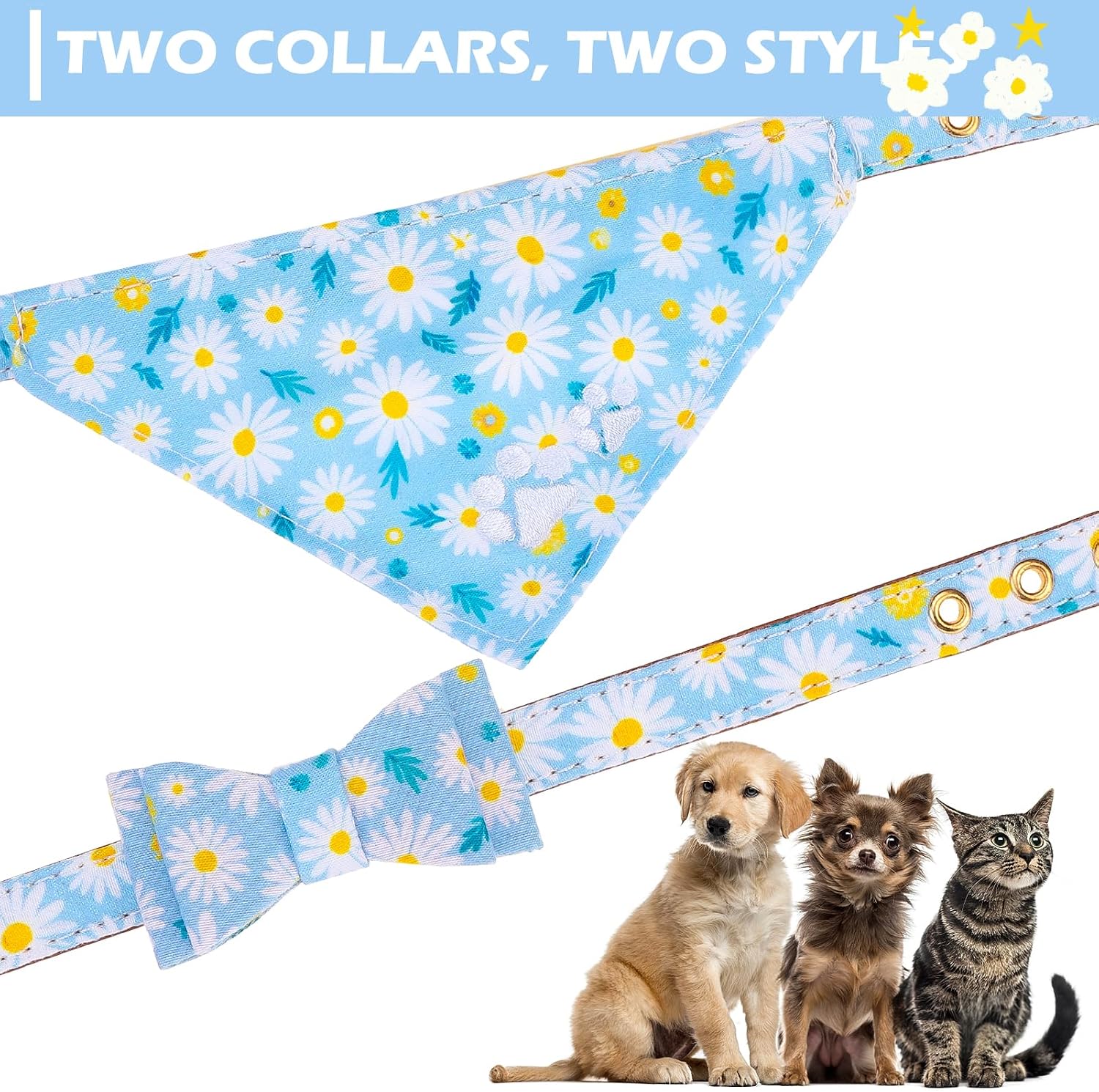 Detalle 2 de EXPAWLORER Dog Collar and Leash Set, Size S