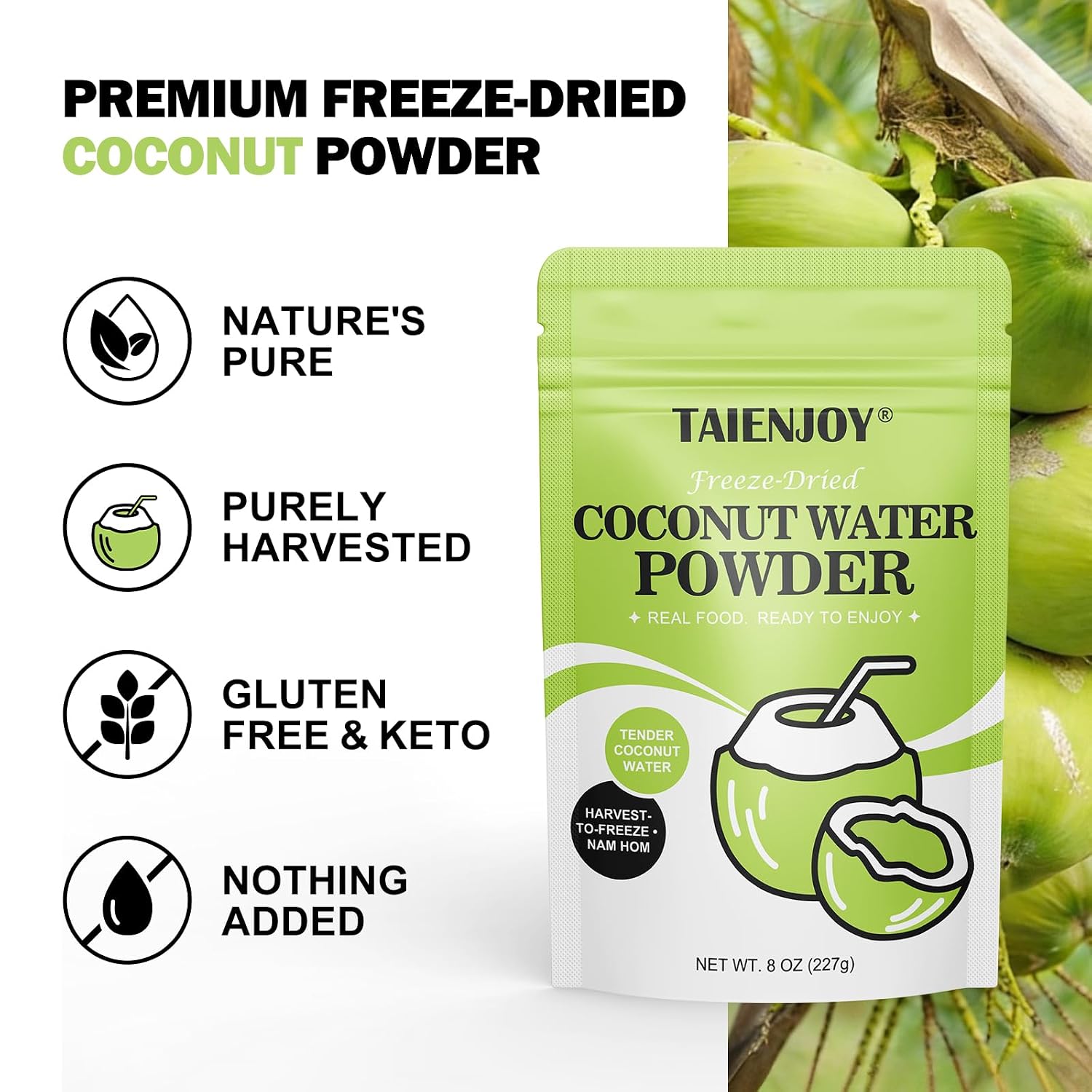 Thumbnail 2 de TAIENJOY Freeze-Dried Coconut Water Powder, 8 oz, Thai Nam Hom