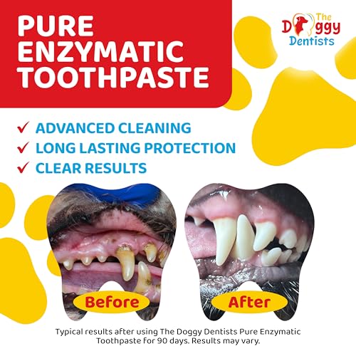 Detalle 2 de The Doggy Dentists Vet Strength Pure Enzymatic Dog & Cat Toothpaste, 100g