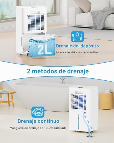 Detalle 2 de PIAZCEW deshumidificador de 12 L/día con 3 modos y drenaje continuo