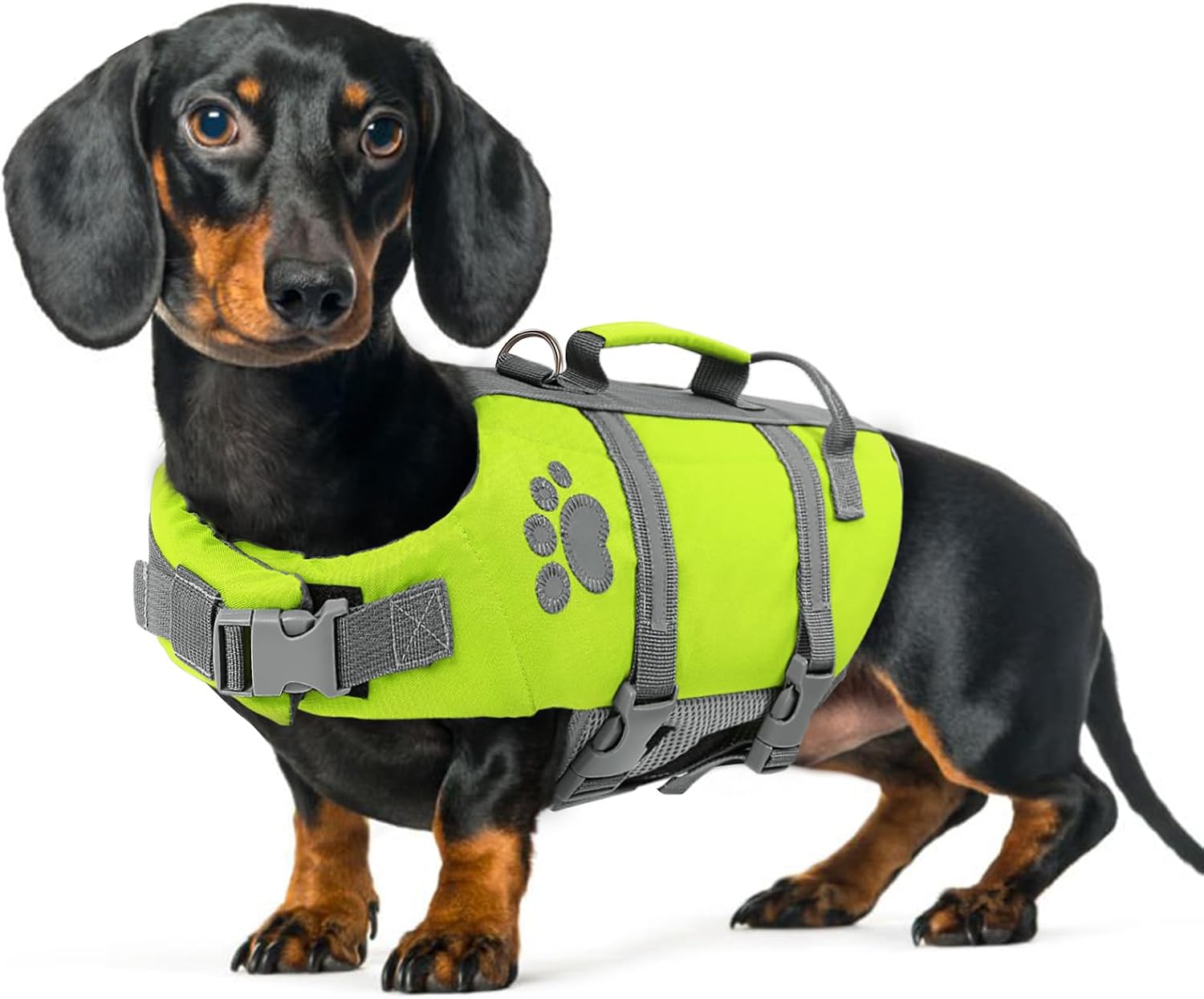 Detalle de Queenmore Salvagente Cane Taglia Piccola – Leggero, Regolabile e Riflettente