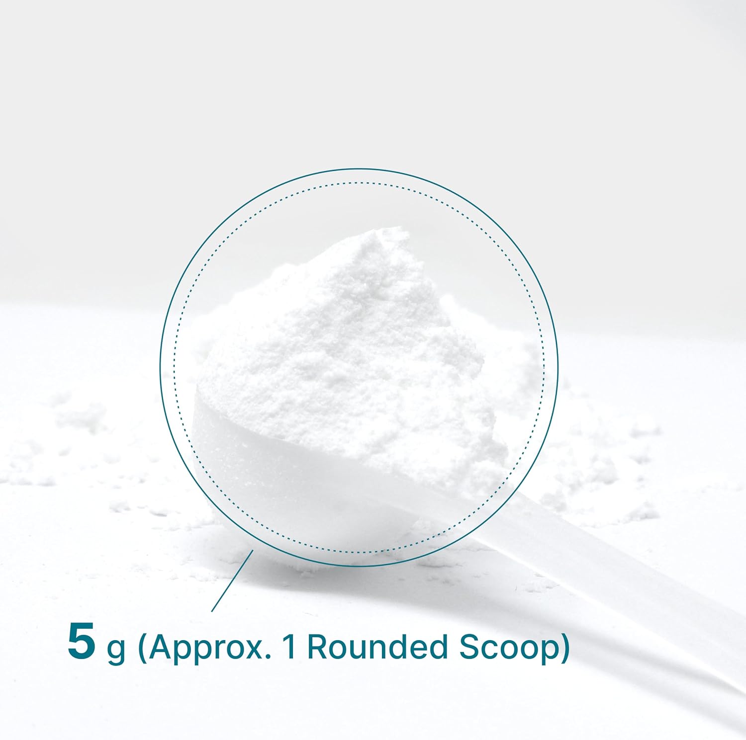 Detalle 2 de Deal Supplement Creatine Monohydrate 600g
