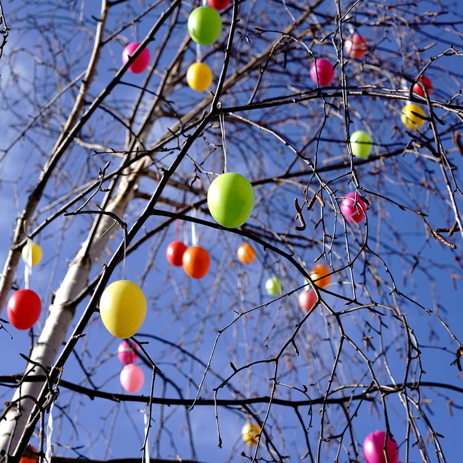 Detalle de KEELYY uova di Pasqua da riempire 50 pezzi