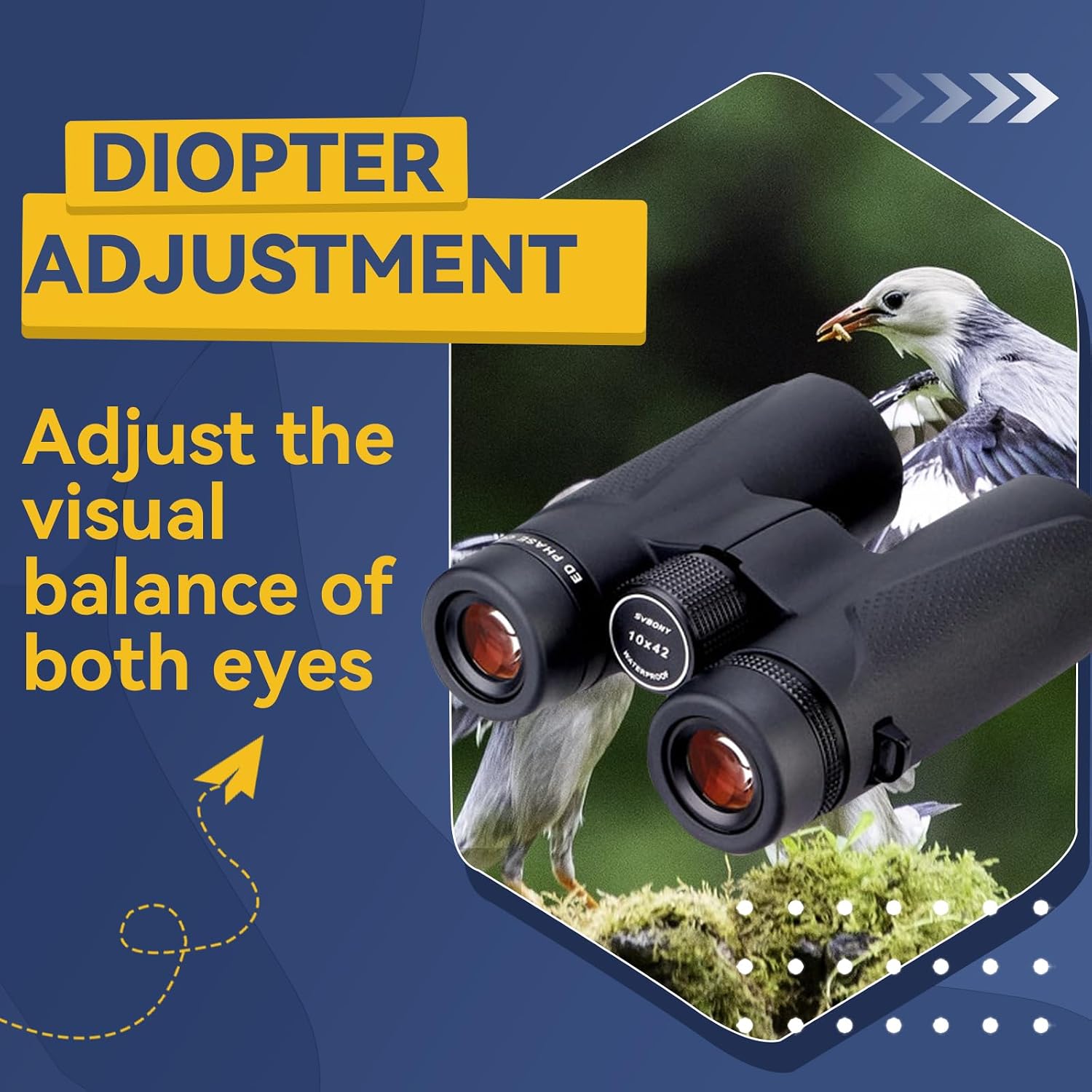 Detalle 2 de Svbony SV202 10x42 Binoculars Review: Solid Mid‑Range for Birdwatching and Wildlife