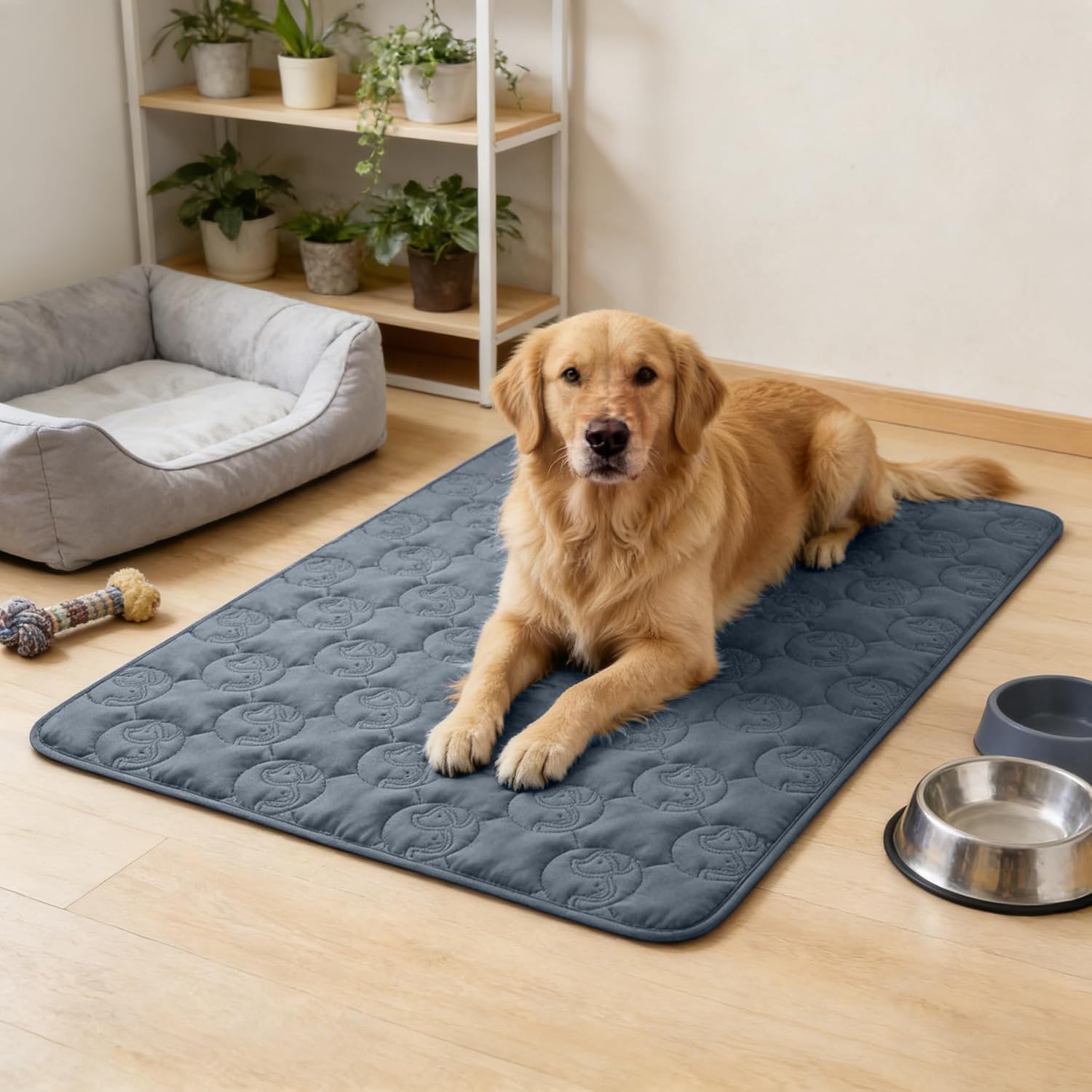 Thumbnail 1 de Pawsee coperta impermeabile per cani 150 x 120 cm: copridivano lavabile antiscivolo