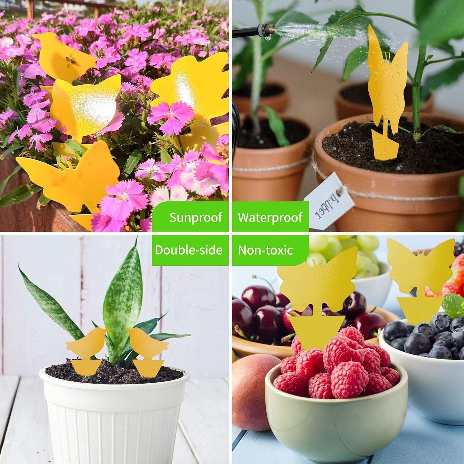 Thumbnail 6 de LFSYS YST-64 Yellow Sticky Fruit Fly Traps, 64-Pack for Indoor Plants