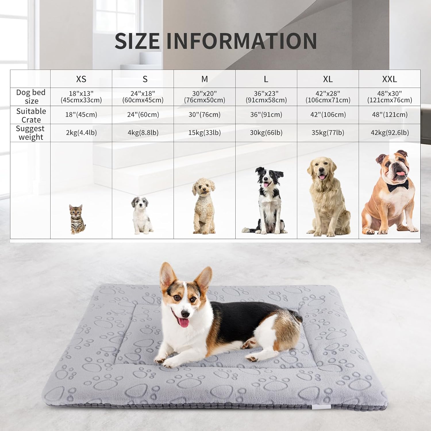 Thumbnail 4 de IEUUMLER Dog Bed Mat: Dual Purpose Washable Cushion for Pets (Grey, 76 x 50 cm)