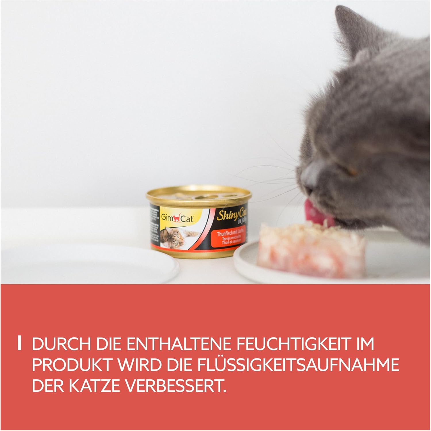 Detalle de GimCat ShinyCat 24 Dosen Katzenfutter đ±