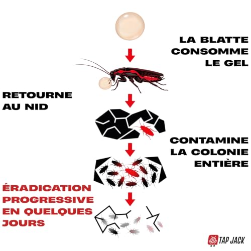 Detalle de Gel Anti Cafards Nouvelle Génération – TAP JACK, 10 g, Double Action IGR