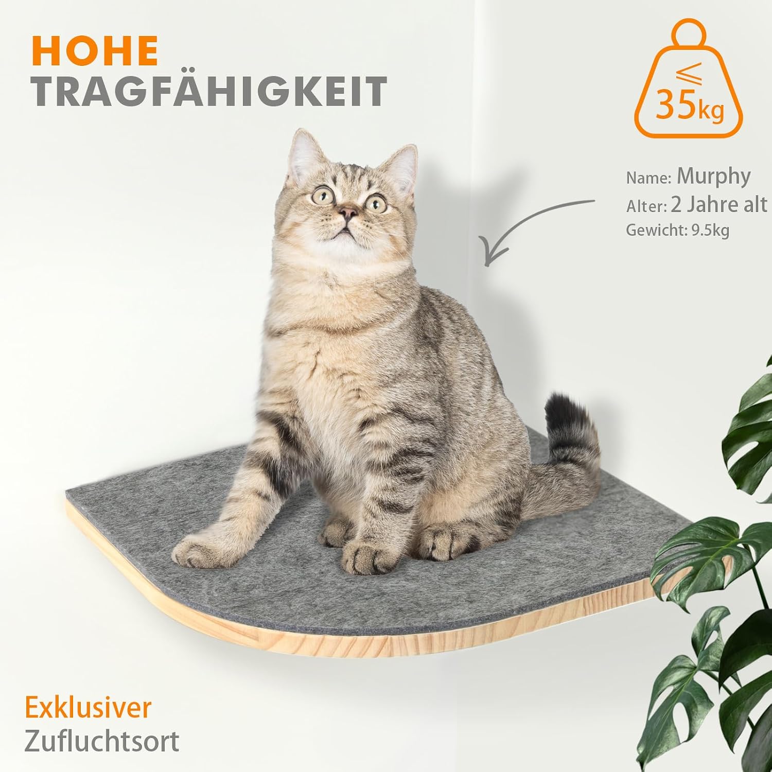 Detalle de Pawtasy Katzen-Kletterwand: 4er-Wand-Set aus Naturholz, stabil und platzsparend